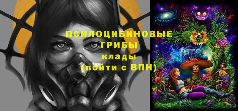 Псилоцибиновые грибы MAGIC MUSHROOMS  кракен ссылки  Гагарин  цены наркотик 